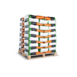 Holzpellets Green 65 x 15 kg